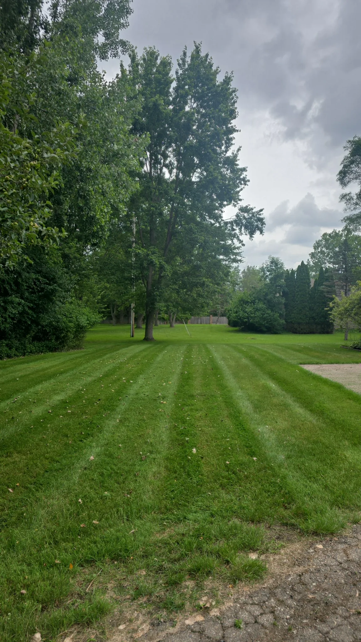 Large maintained lawn with clean mowing lines