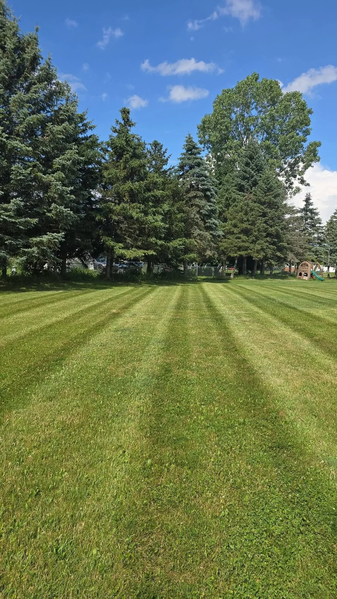 Wide lawn with straight mowing stripes